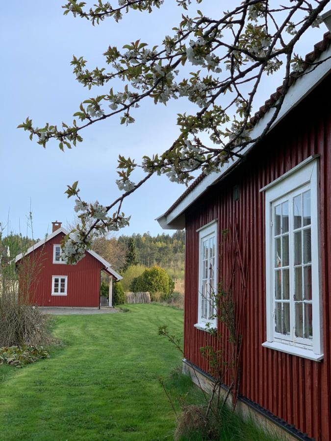 Morellgarden Larvik Zewnętrze zdjęcie