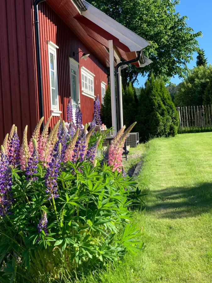 Morellgarden Larvik Zewnętrze zdjęcie