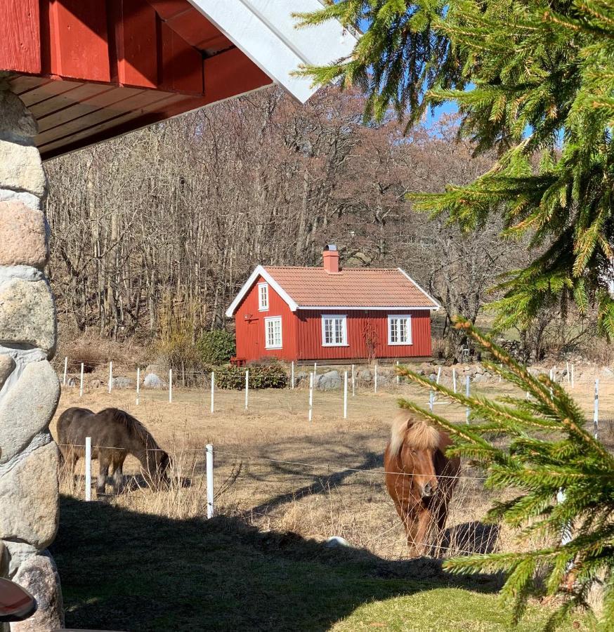 Morellgarden Larvik Zewnętrze zdjęcie