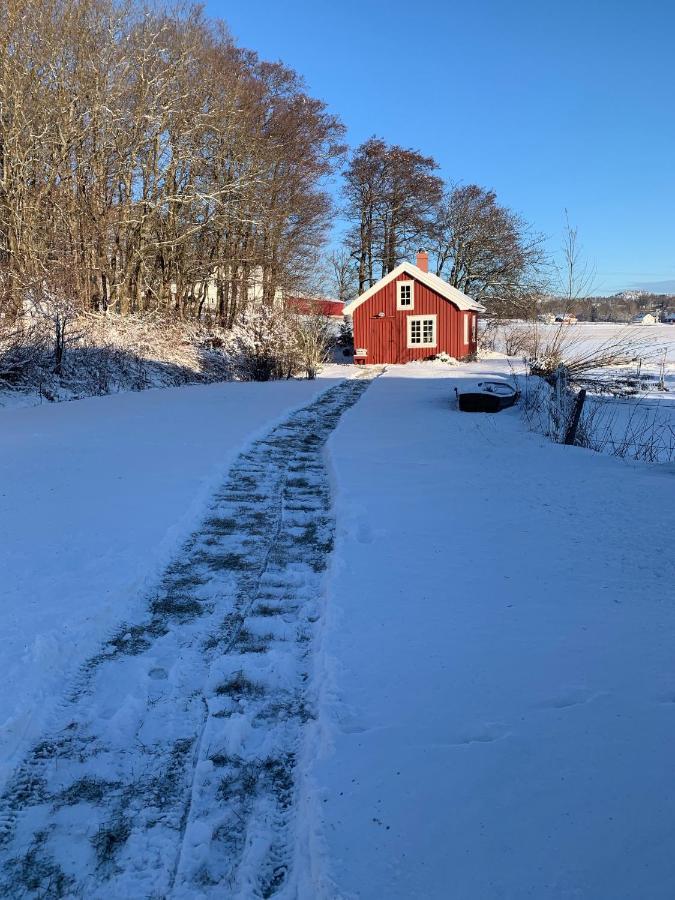 Morellgarden Larvik Zewnętrze zdjęcie