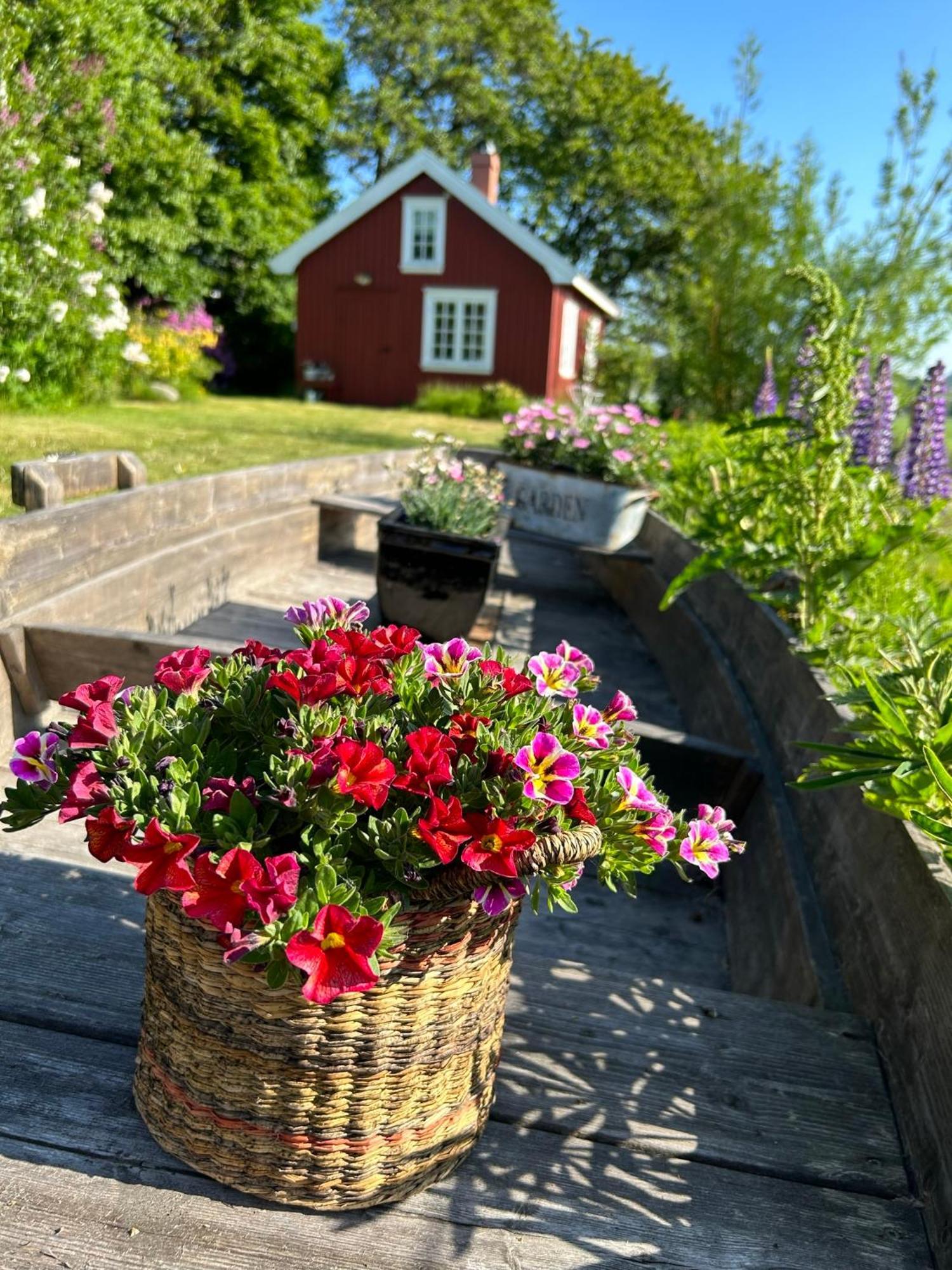 Morellgarden Larvik Zewnętrze zdjęcie